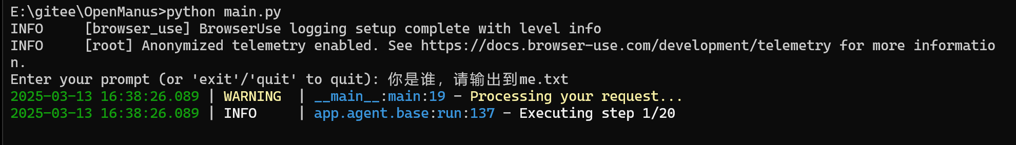 image-20250313163856853